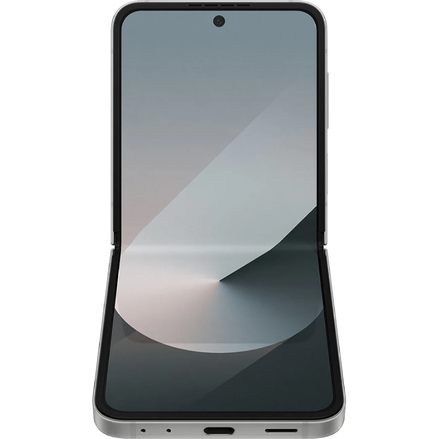 Мобільний телефон Samsung Galaxy Flip 6 12/256GB Silver Shadow (SM-F741BZSGSEK)