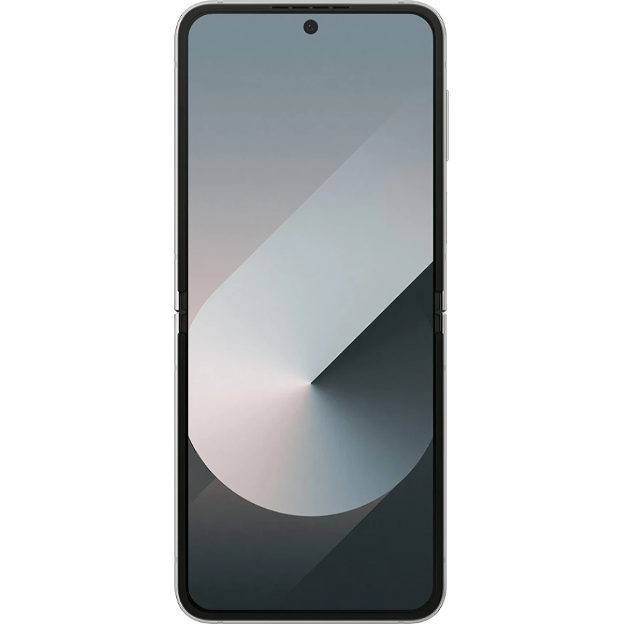 Мобільний телефон Samsung Galaxy Flip 6 12/256GB Silver Shadow (SM-F741BZSGSEK)