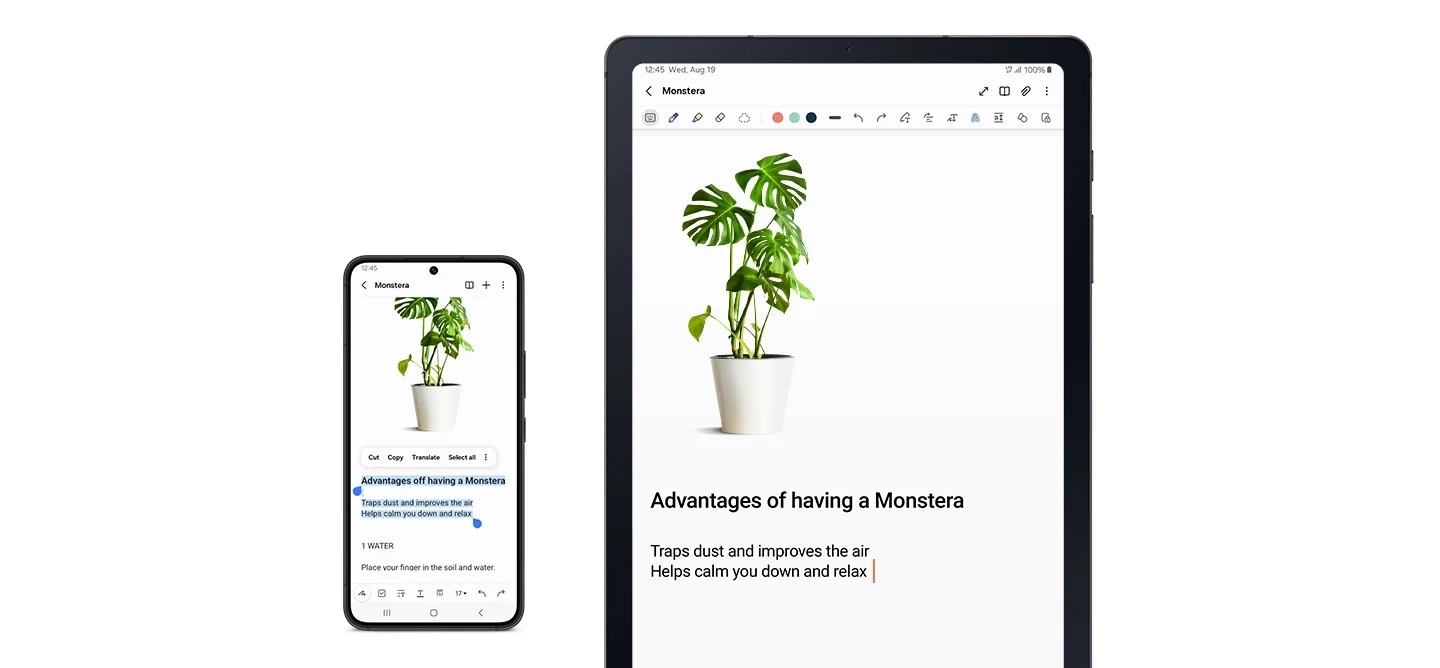 Samsung Galaxy Tab S6 Lite