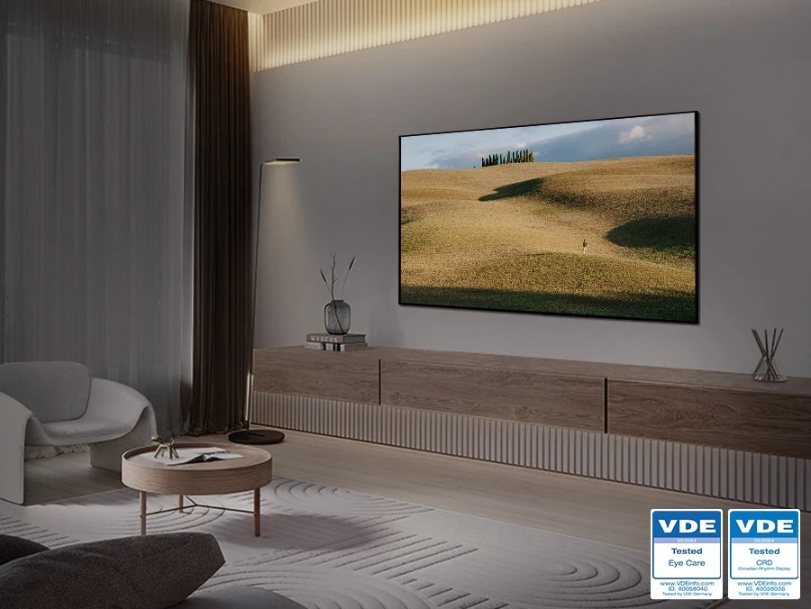 Samsung QE48S90DAEXUA